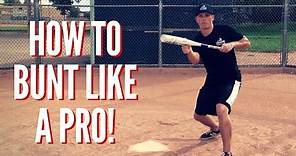 Baseball Bunting Fundamentals: Bunt Like A Pro! - Baseball Hitting Tips