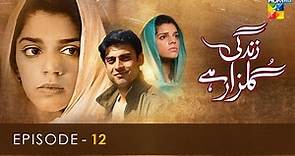 Zindagi Gulzar Hai - Episode 12 - [ HD ] - ( Fawad Khan & Sanam Saeed ) - HUM TV Drama