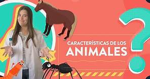 Características de los animales