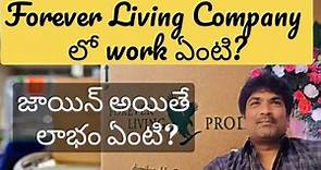 Forever Living Company Work Details | Benefits in Forever Living Company |
