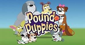 Pound Puppies Season 1 Episode 10 - Dog on a Wire