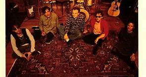 The Feelies - Time For A Witness