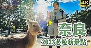 2023奈良必去一日遊景點😍奈良公園、M!Nara購物中心、大佛布丁、金魚博物館｜關西奈良一日遊攻略・日本旅遊4K VLOG