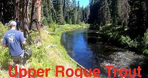 Upper Rogue River Trout Fishing