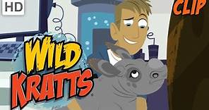 Wild Kratts - Why We Love Nature and Wild Animals