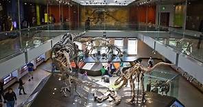 10 Best Science Museums In The World