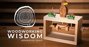 Automata Toys Part 2 - Woodworking Wisdom