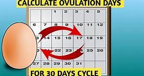 Calculating Ovulation Days, A Guide for 30 Days Cycle