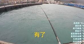 魚種挺豐富的野柳漁港 釣況分享 20201217 [嘟嘟釣魚狂#107]