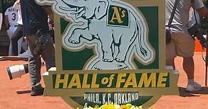 A special day for the Green and Gold 💚💛 Congratulations to the 2023 Athletics Hall of Fame Class! | Oakland Athletics
