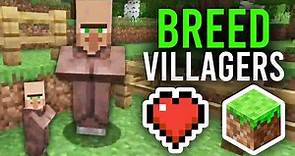 How To Breed Villagers In Minecraft - Full Guide