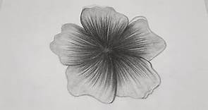 How To Draw Flower Step By Step | Black And White With Pencil