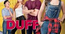The DUFF streaming: where to watch movie online?
