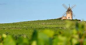 Moulin-à-Vent - Site Officiel des Vins du Beaujolais