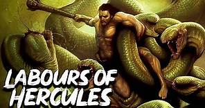 The 12 Labours of Hercules/Heracles - Greek Mythology Stories - See U in History