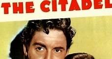 La ciudadela / The Citadel (1938) Online - Película Completa en Español - FULLTV
