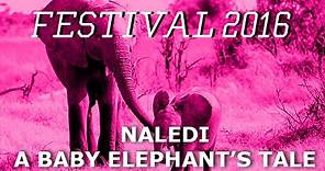 Naledi: A Baby Elephant's Tale (Trailer)