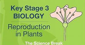 Key Stage 3 Science (Biology) - Reproduction in Plants