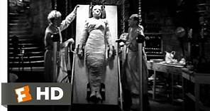 She's Alive! She's Alive! - Bride of Frankenstein (9/10) Movie CLIP (1935) HD