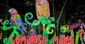 Luminosa Jungle Island Miami Walking Tour |Luminosa Light Show| 4K