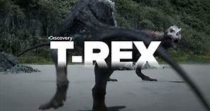 Exclusive Video of Tyrannosaurus Rex the KILLER!