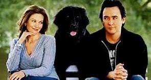 Must Love Dogs Full Movie Fact & Review / Diane Lane / John Cusack