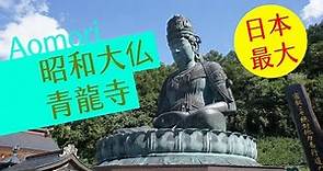 [青森] 低調卻又高調的昭和大佛 / 超越奈良以及鎌倉大佛的日本最大的青銅佛像