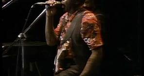 Muddy Waters - Trouble No More - ChicagoFest 1981