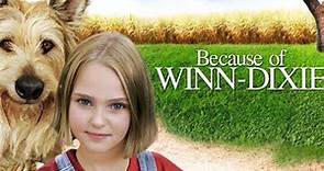 Because of Winn Dixie (2005) Review