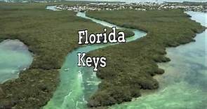 Florida - Fast Facts (Geography, Cities, History and More)