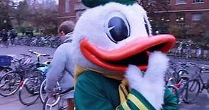 A Day in the Life of The Oregon Duck
