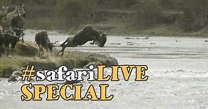 The Mara River - Life and death of The Great Migration.