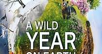 A Wild Year On Earth Season 1 - watch episodes streaming online