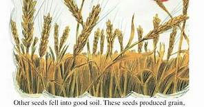 The Parable of the Sower and the Seed