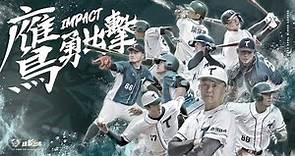 20231203亞洲冬季棒球聯盟 日職白隊 vs.台鋼雄鷹 自製直播賽事