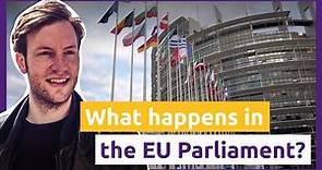 What happens in the European Parliament? — A day with Damian Boeselager