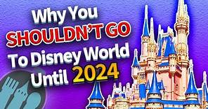 Why You Shouldn't Go To Disney World Until 2024