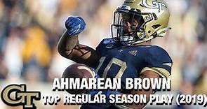 Georgia Tech WR Ahmarean Brown | 2019 Top Regular Season Play