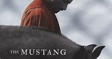 The Mustang (2019) Online - Película Completa en Español / Castellano - FULLTV