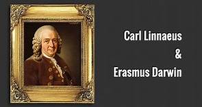 Carl Linnaeus and Erasmus Darwin