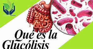 Glucolisis: explicación fácil y ejemplos