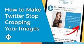 The Best Size For Your Twitter Images