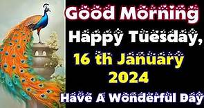 Happy Tuesday, Good Morning, 16th January, Good morning Video Wishes Images Whatsapp Msg #tuesday