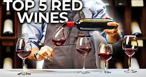 The Best Red Wines for Beginners