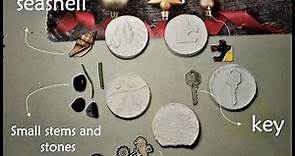How to make fossils using Plaster of Paris TUTORIAL 101