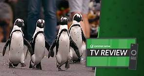 Penguin Town: TV Review