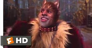 Cats (2019) - The Rum Tum Tugger Scene (3/10) | Movieclips