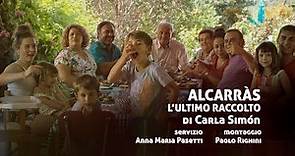 ALCARRÀS - L'ULTIMO RACCOLTO di Carla Simón / Recensione