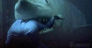 Tiburón ataca por última vez | Tiburón III | Clip en Español