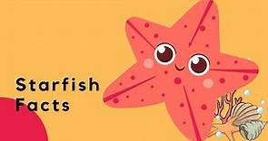 Discover the Wonders of Starfish: Fun Facts for Kids! | Marine Facts
